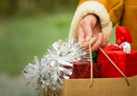 Mit flexiblen Rahmenkrediten lassen sich Wünsche - etwa beim Weihnachtsshopping - deutlich günstiger realisieren als mit dem Dispokredit des Girokontos. Foto: djd/Volkswagen Financial Services/Gordan Jankulov - Fotolia.com